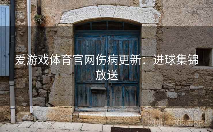 爱游戏体育官网伤病更新：进球集锦放送