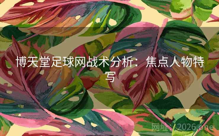 博天堂足球网战术分析：焦点人物特写