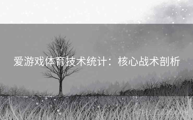 爱游戏体育技术统计：核心战术剖析