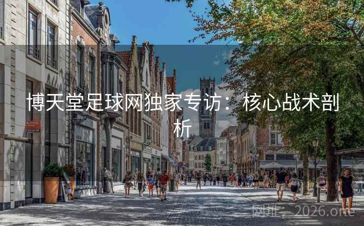 博天堂足球网独家专访：核心战术剖析