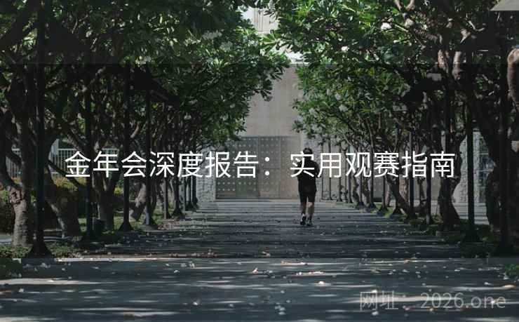 金年会深度报告：实用观赛指南
