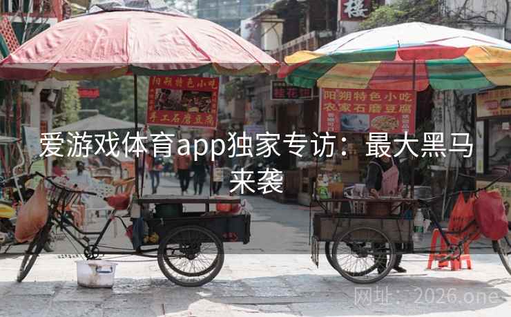爱游戏体育app独家专访：最大黑马来袭