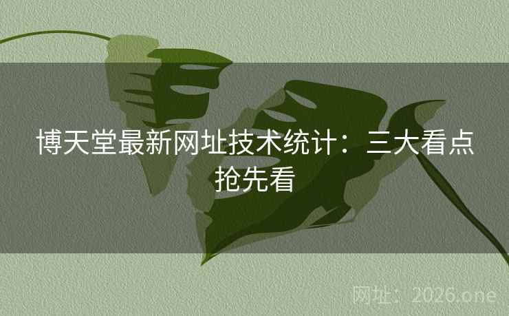 博天堂最新网址技术统计：三大看点抢先看