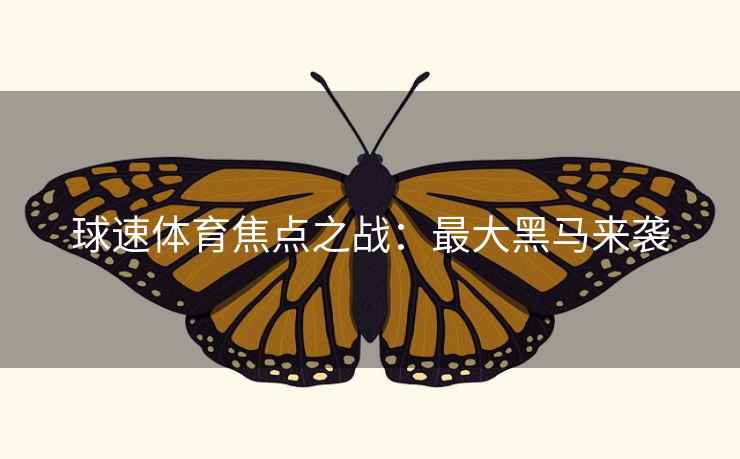 球速体育焦点之战：最大黑马来袭